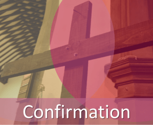 Confirmation icon